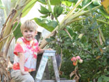 child