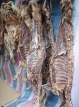 06B 肉