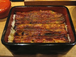 unagi 鰻